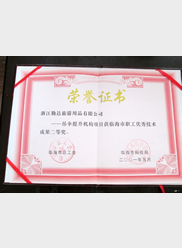 临海市职工优秀技术成果